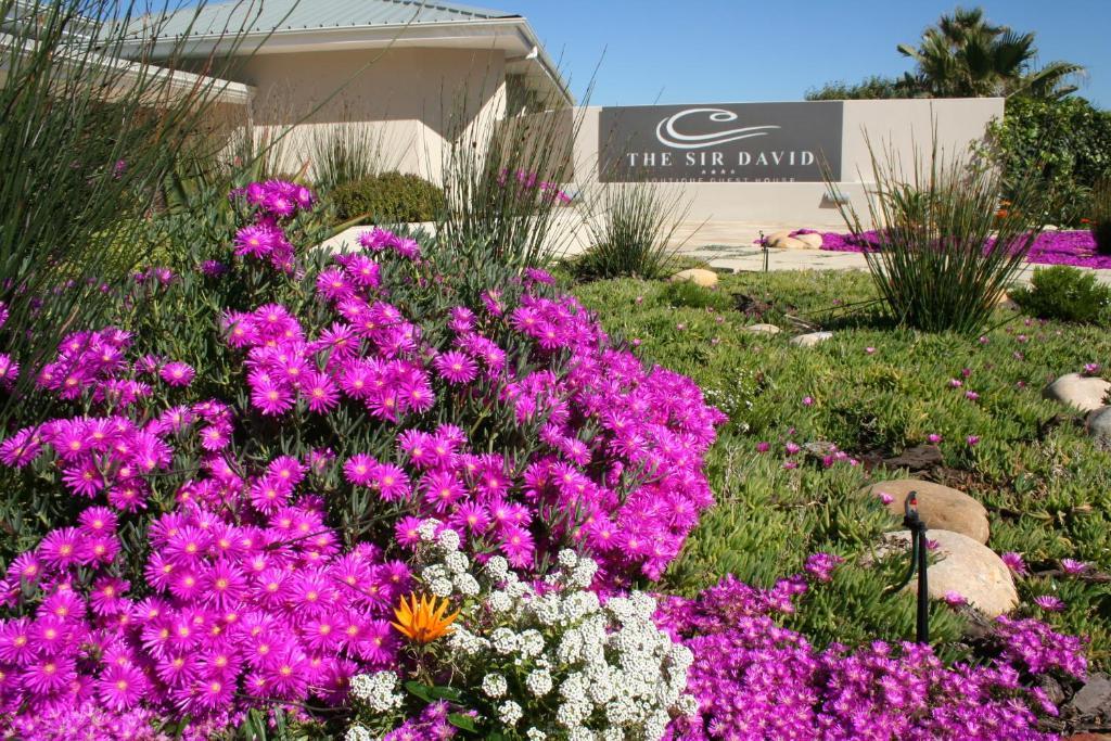 The Sir David Boutique Guest house Bloubergstrand